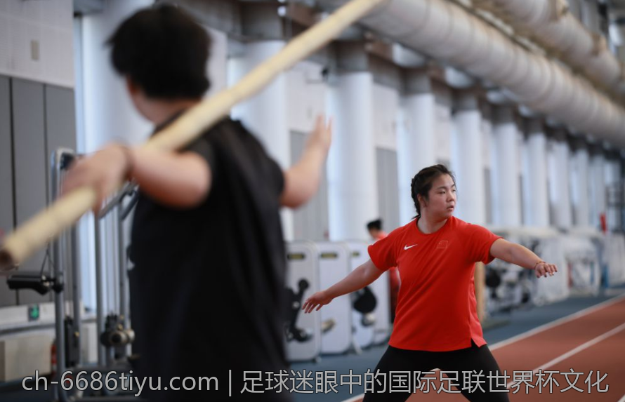 足球迷眼中的国际足联世界杯文化