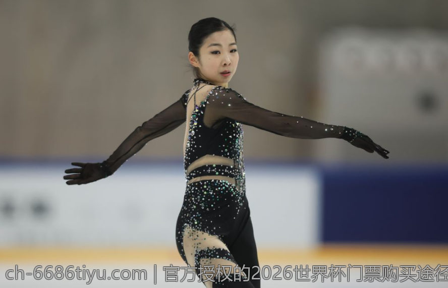 官方授权的2026世界杯门票购买途径详解
